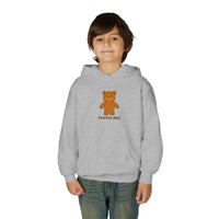 Load image into Gallery viewer, Youth Hoodie - Playful Pals Teddy Bear Graphic
