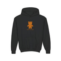 Load image into Gallery viewer, Youth Hoodie - Playful Pals Teddy Bear Graphic

