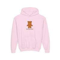 Load image into Gallery viewer, Youth Hoodie - Playful Pals Teddy Bear Graphic
